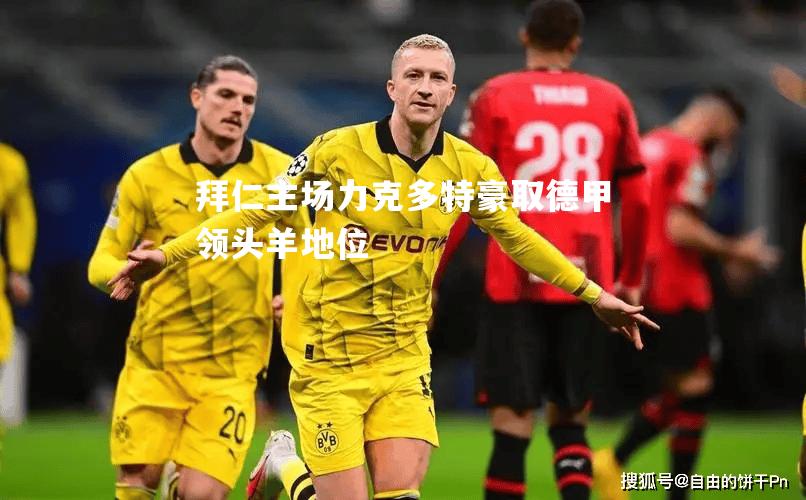 拜仁主场力克多特豪取德甲领头羊地位