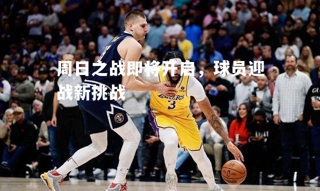 周日之战即将开启，球员迎战新挑战