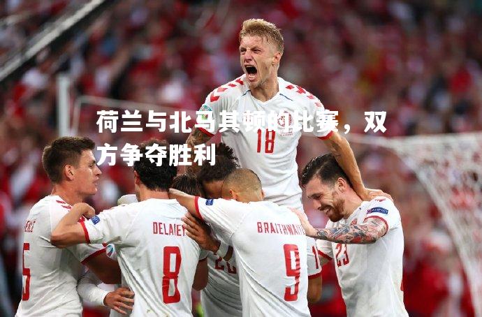 荷兰与北马其顿的比赛，双方争夺胜利