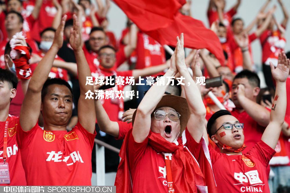 足球比赛场上豪情万丈，观众沸腾欢呼！