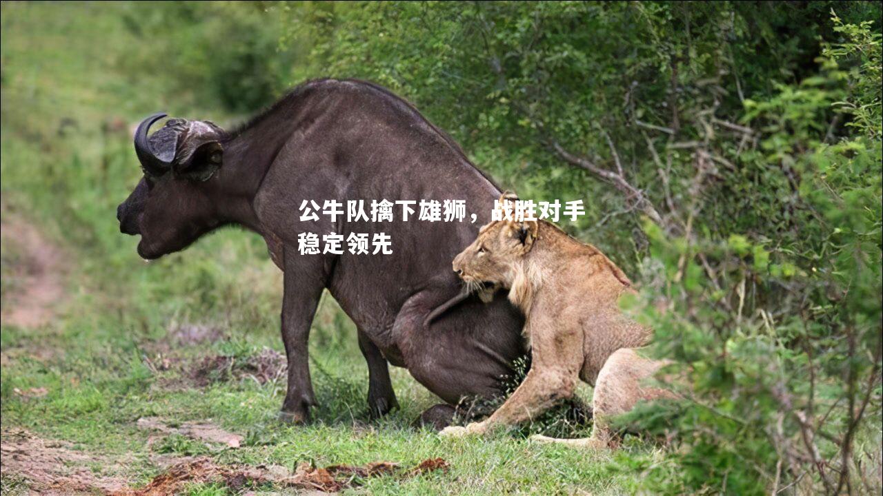 公牛队擒下雄狮，战胜对手稳定领先